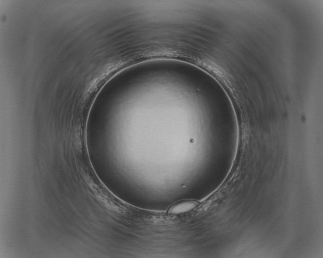 X0000062880345200601201825