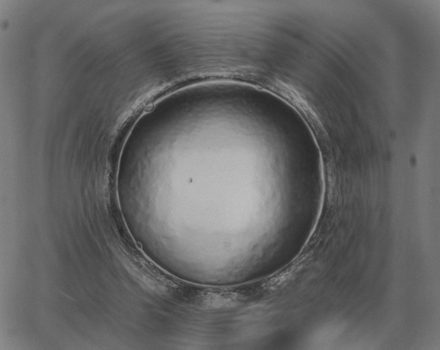 X0000062880346200601201825