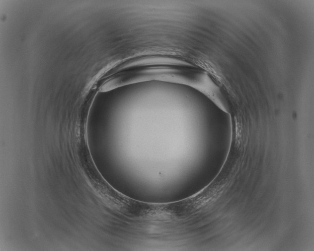 X0000062880348200601201825