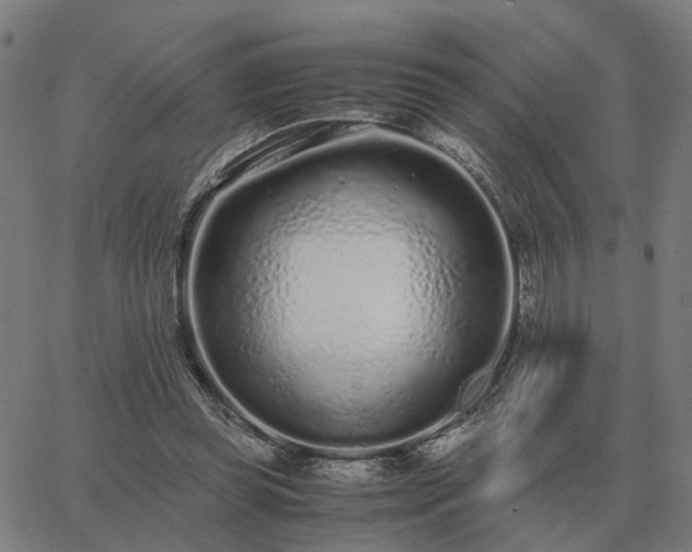 X0000062880349200601201825