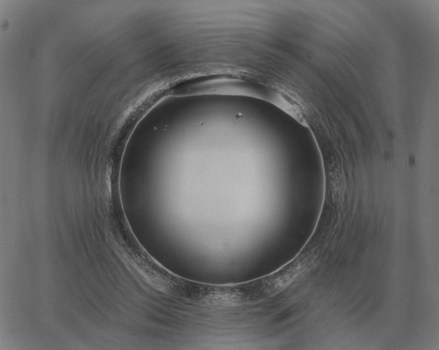 X0000062880350200601201825