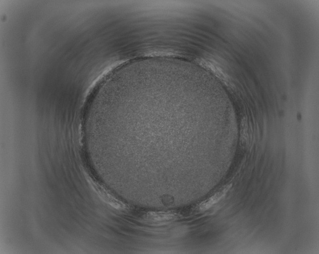 X0000062880351200601201825