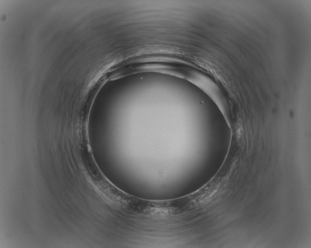 X0000062880352200601201825