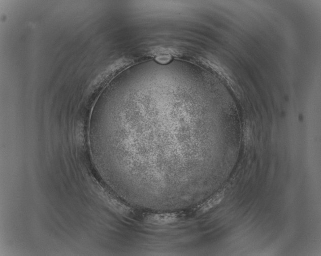 X0000062880353200601201825