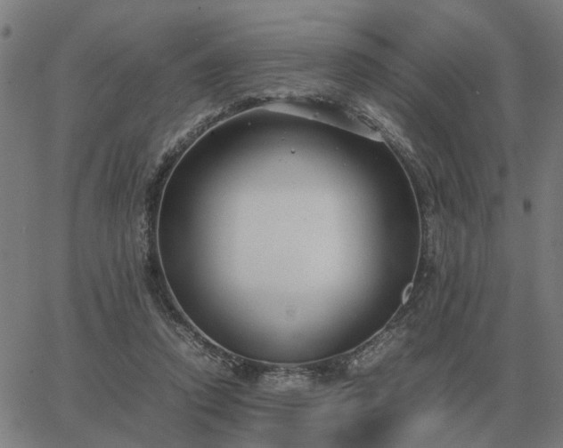 X0000062880354200601201826