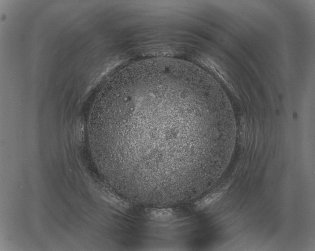 X0000062880355200601201826