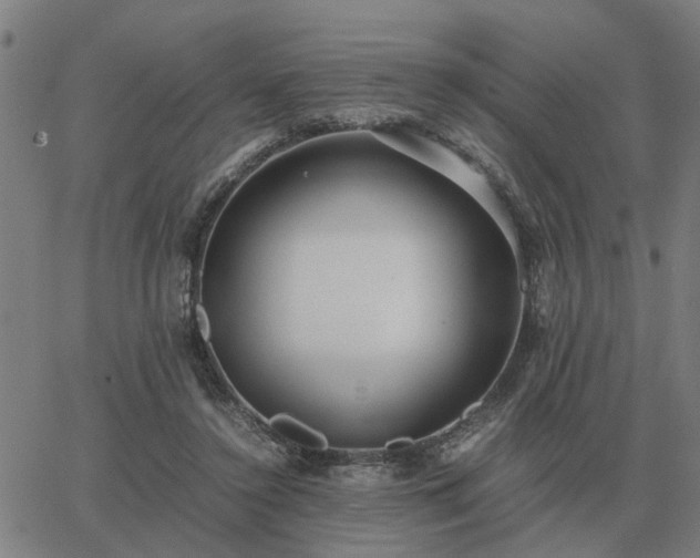 X0000062880356200601201826