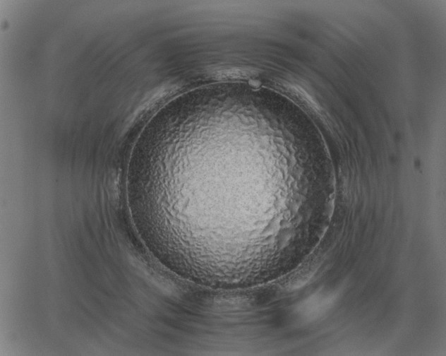 X0000062880357200601201826