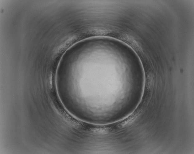 X0000062880358200601201826