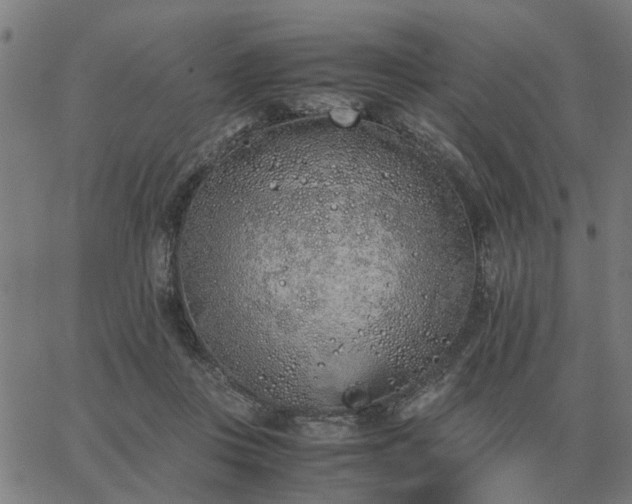 X0000062880359200601201826