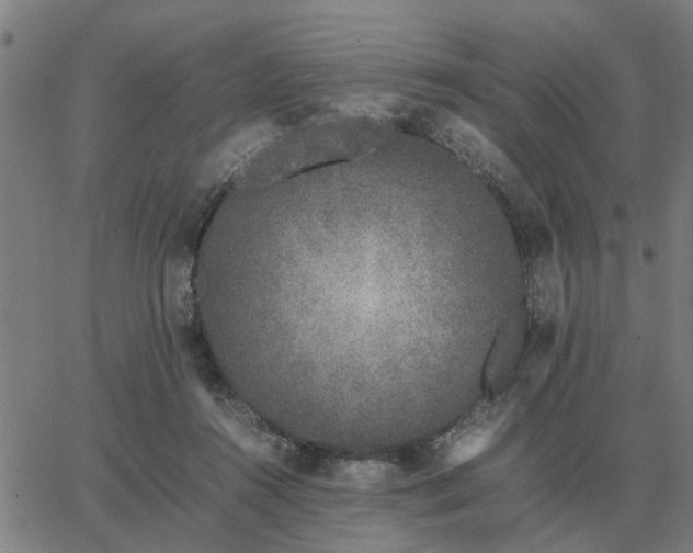 X0000062880360200601201826