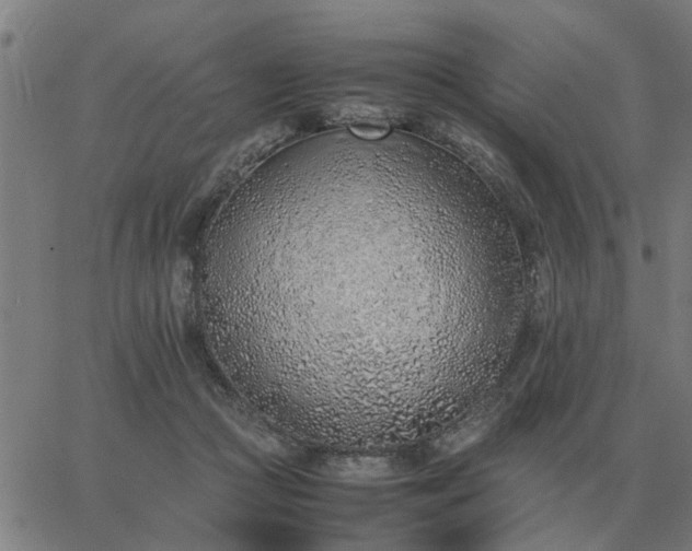 X0000062880361200601201826