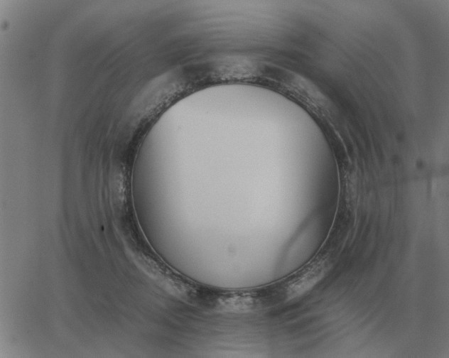 X0000062880362200601201826