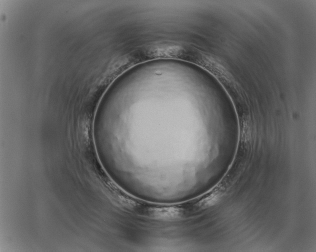 X0000062880363200601201826