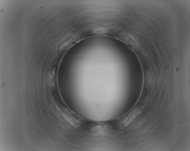 X0000062880364200601201826