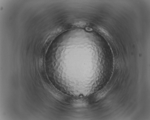 X0000062880365200601201826