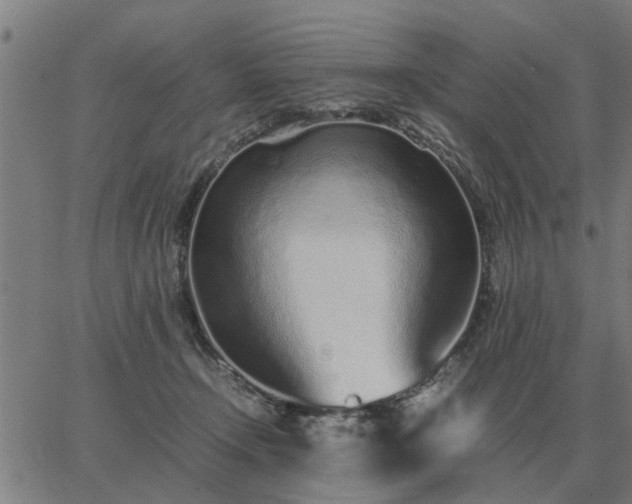 X0000062880366200601201826