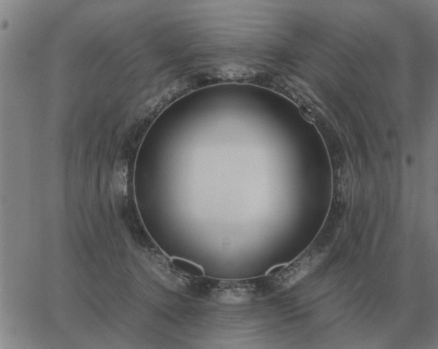 X0000062880368200601201826