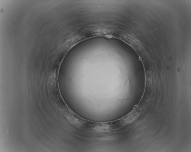 X0000062880369200601201826