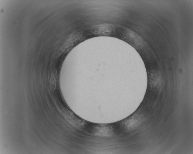 X0000062880370200601201826