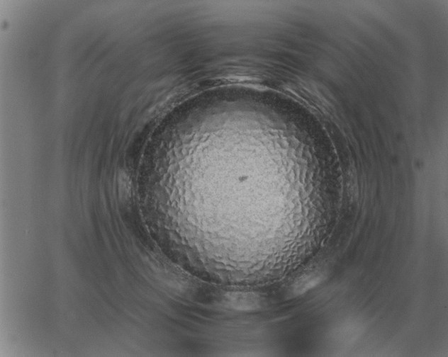 X0000062880371200601201826