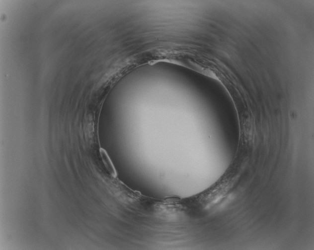 X0000062880372200601201826