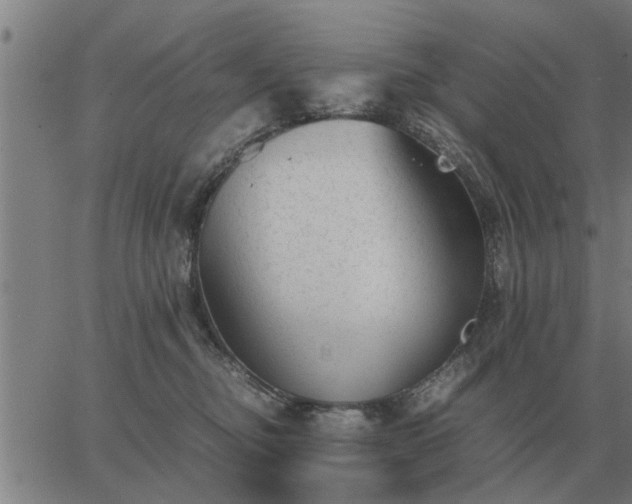 X0000062880374200601201826