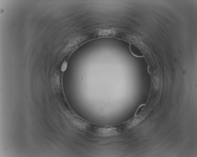 X0000062880375200601201826