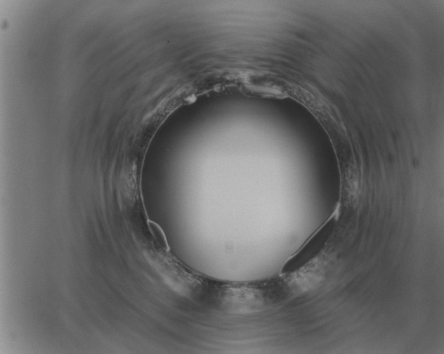 X0000062880376200601201826