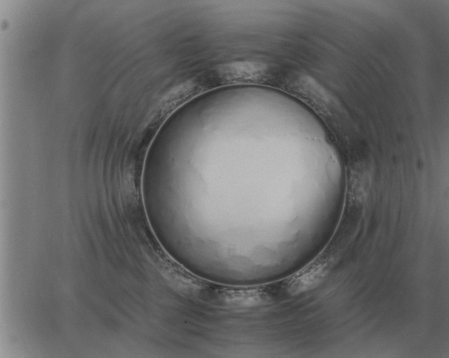 X0000062880377200601201826