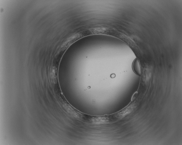 X0000062880378200601201826