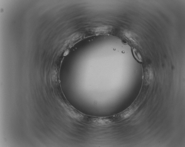 X0000062880379200601201826