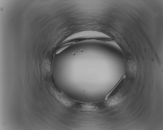 X0000062880380200601201826