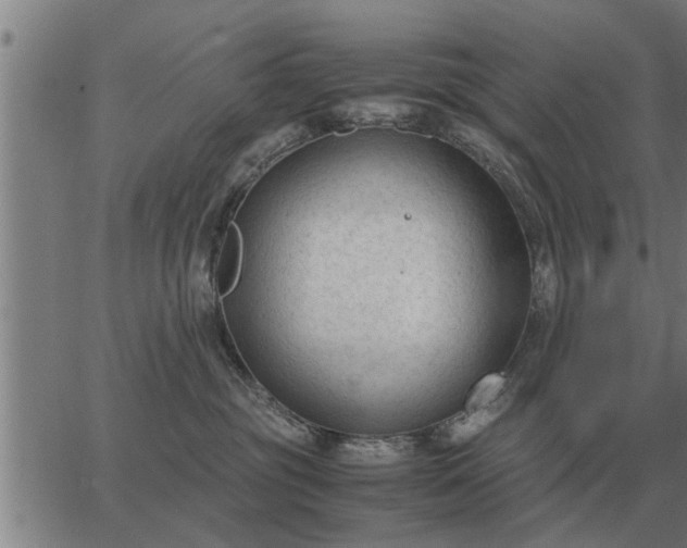 X0000062880381200601201826