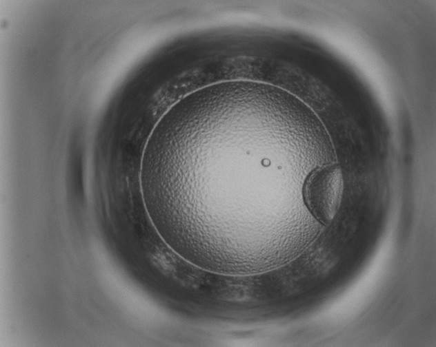 X0000062880382200601201826