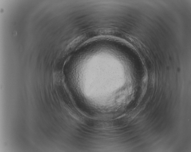 X0000062880383200601201826