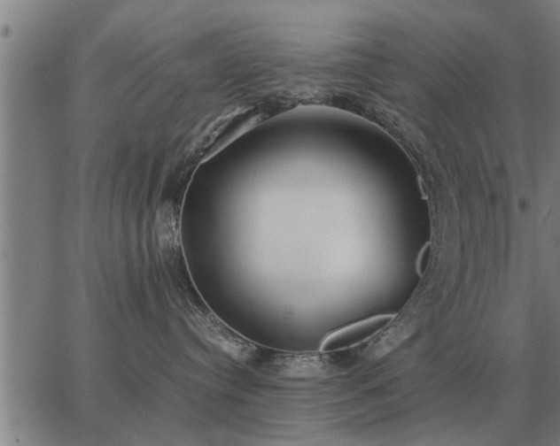 X0000062880384200601201826