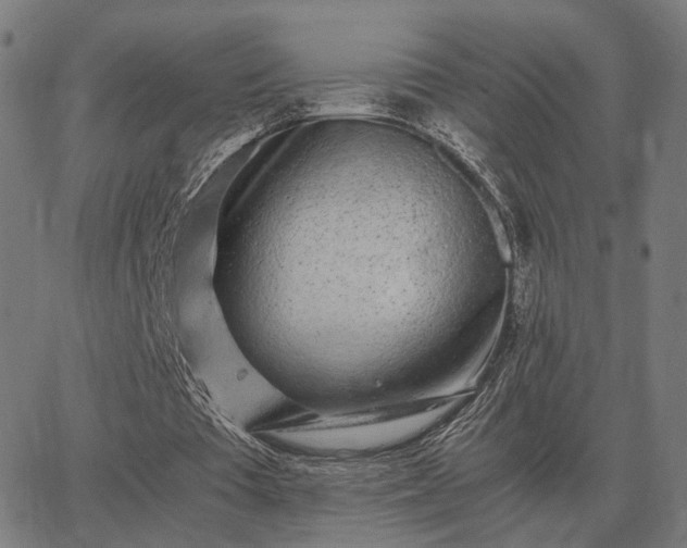 X0000062880385200601201825