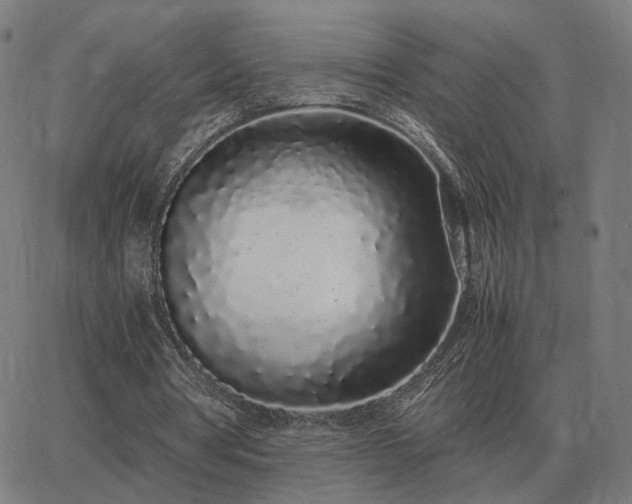 X0000062880386200601201825