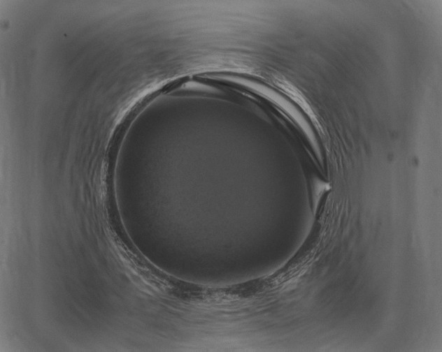 X0000062880387200601201825