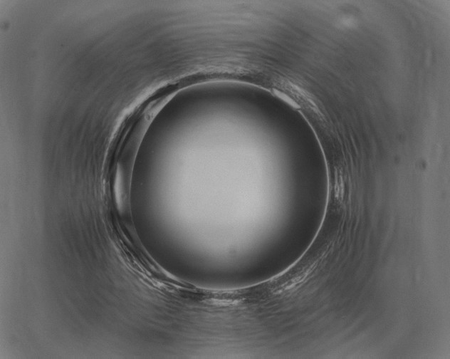 X0000062880388200601201825