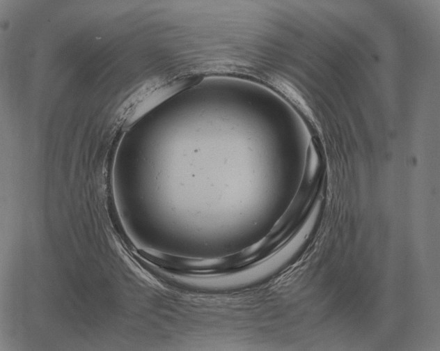 X0000062880389200601201825