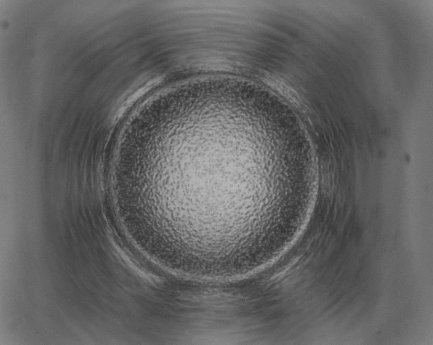 X0000062880390200601201825