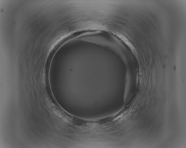 X0000062880391200601201825