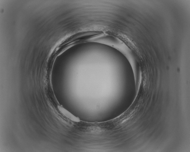 X0000062880392200601201825