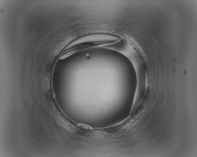 X0000062880393200601201825