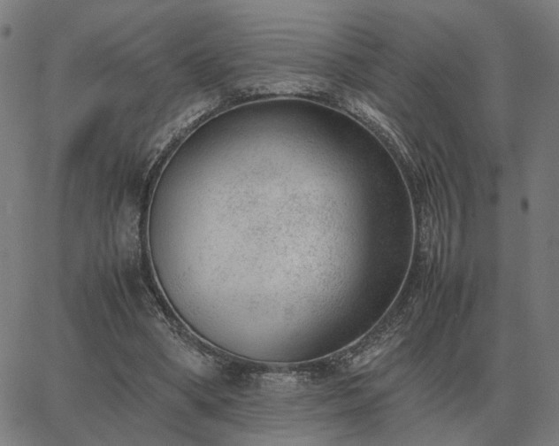 X0000062880394200601201825