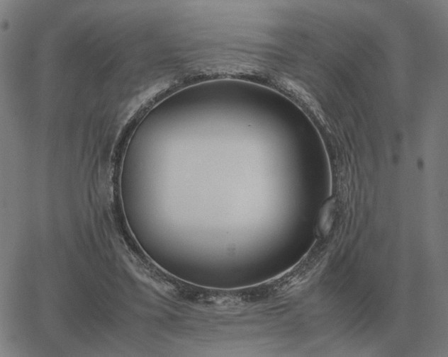 X0000062880395200601201825