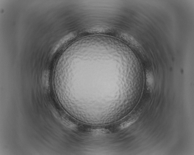 X0000062880396200601201825