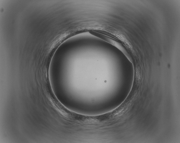 X0000062880397200601201825